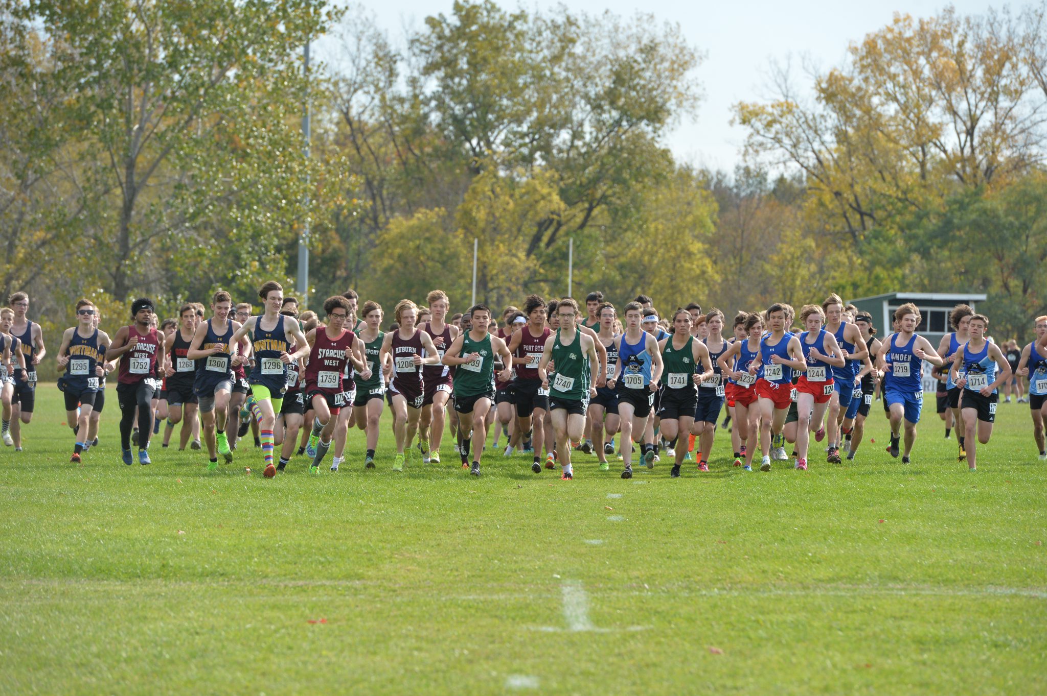 Varsity cross country team to compete in sectionals Nov. 5 Weedsport